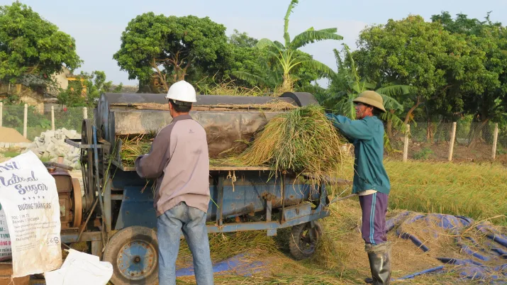 Lutte contre la montée des eaux dans les provinces de Ninh Binh, Ha Tinh et Can Tho - Image -